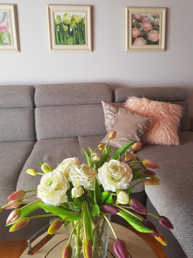 Mediterran Apartman Pécs Buitenkant foto