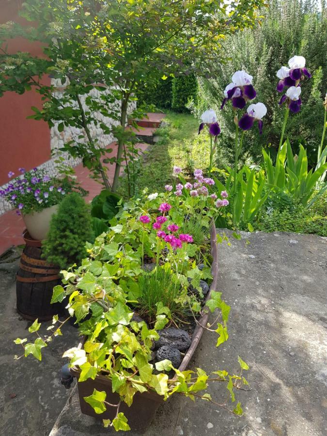 Mediterran Apartman Pécs Buitenkant foto
