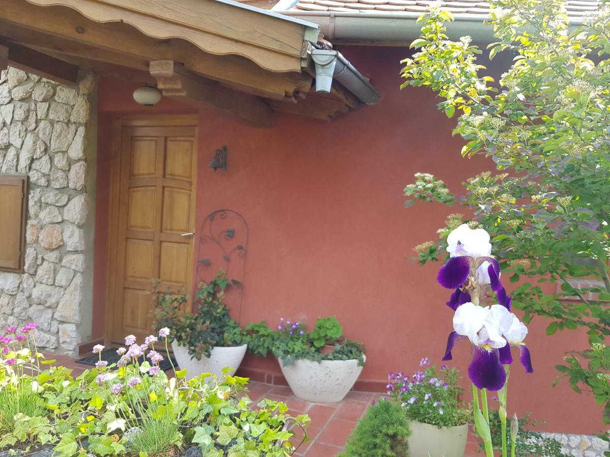 Mediterran Apartman Pécs Buitenkant foto