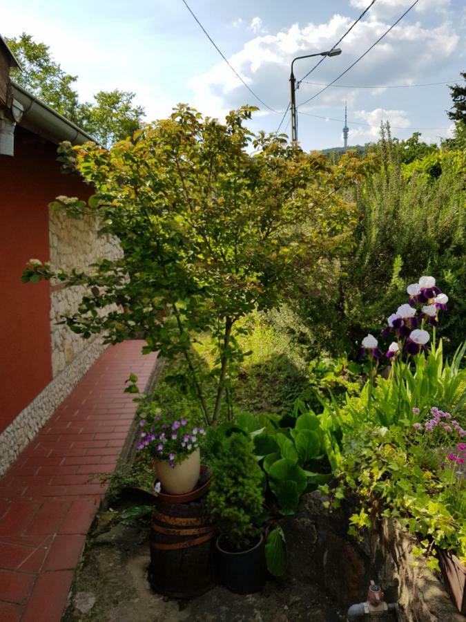 Mediterran Apartman Pécs Buitenkant foto